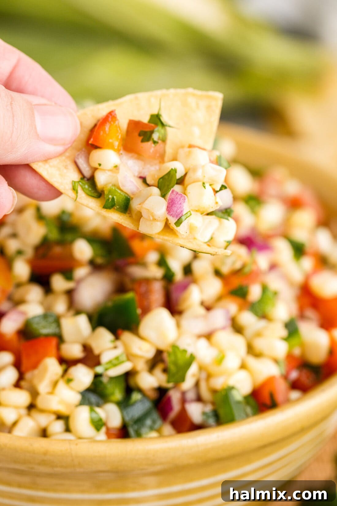 Corn Salsa on a chip