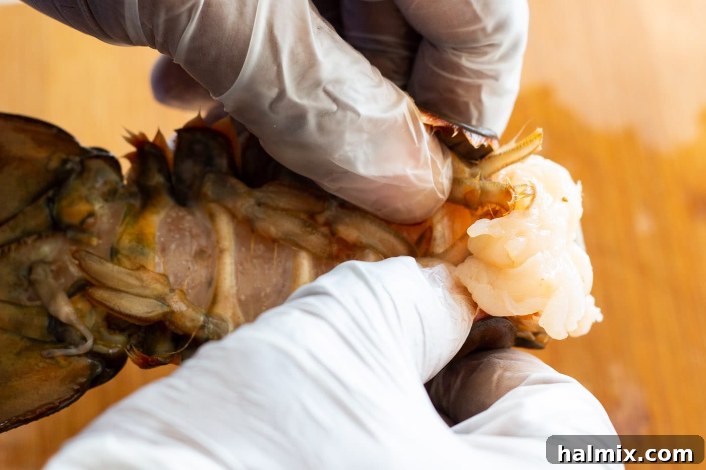 removing lobster meat from its shell