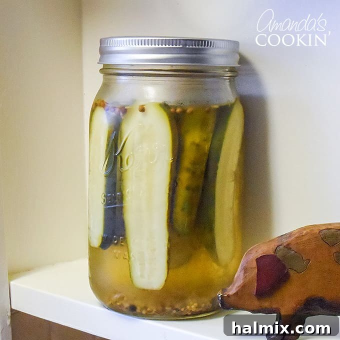 Copycat Claussen Pickle recipe
