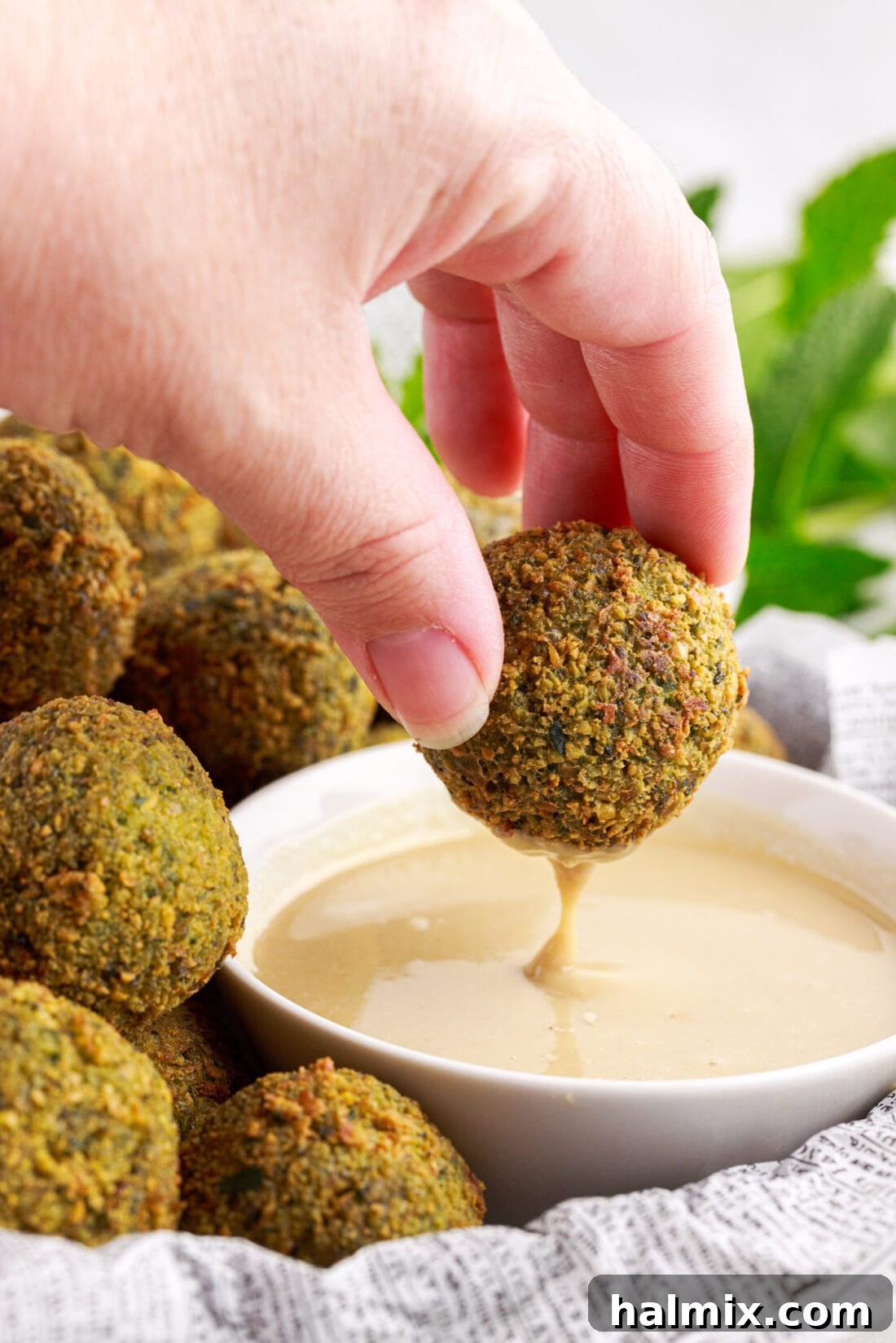 The Golden Chickpea Delight 2 dipping Falafel in sauce