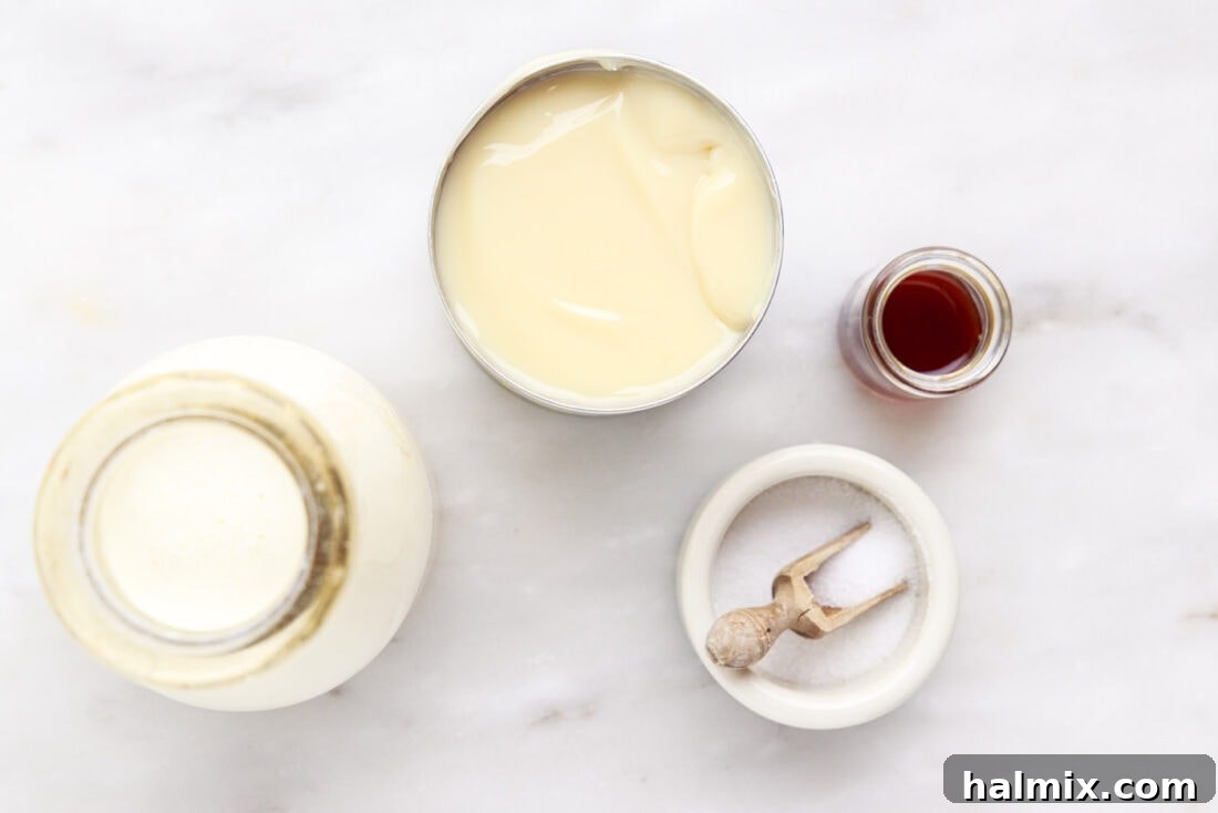 Four simple ingredients for homemade rolled ice cream: heavy whipping cream, sweetened condensed milk, pure vanilla extract, and sea salt, arranged neatly.