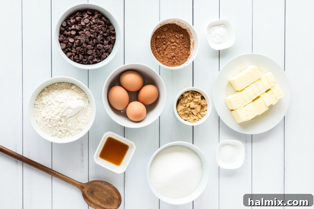An organized array of fresh ingredients including butter, eggs, flour, cocoa, and chocolate chips, ready for baking Brookies