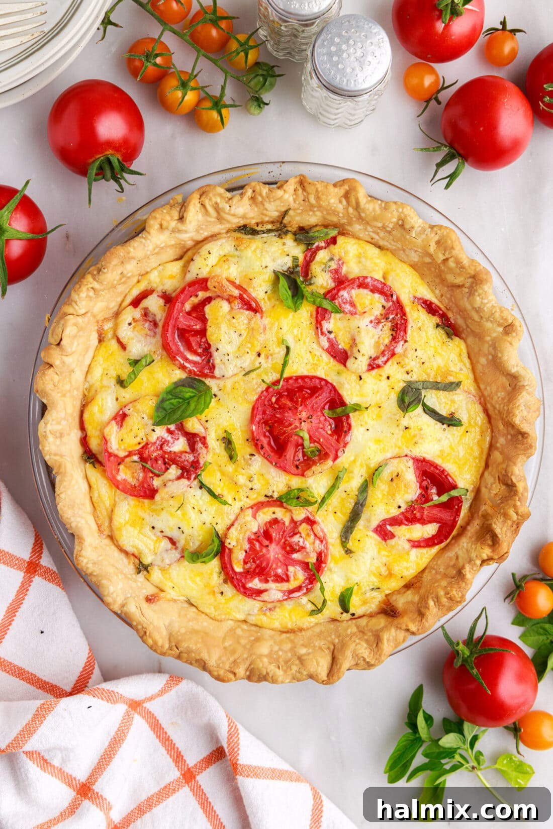 overhead photo of Homemade Tomato Pie