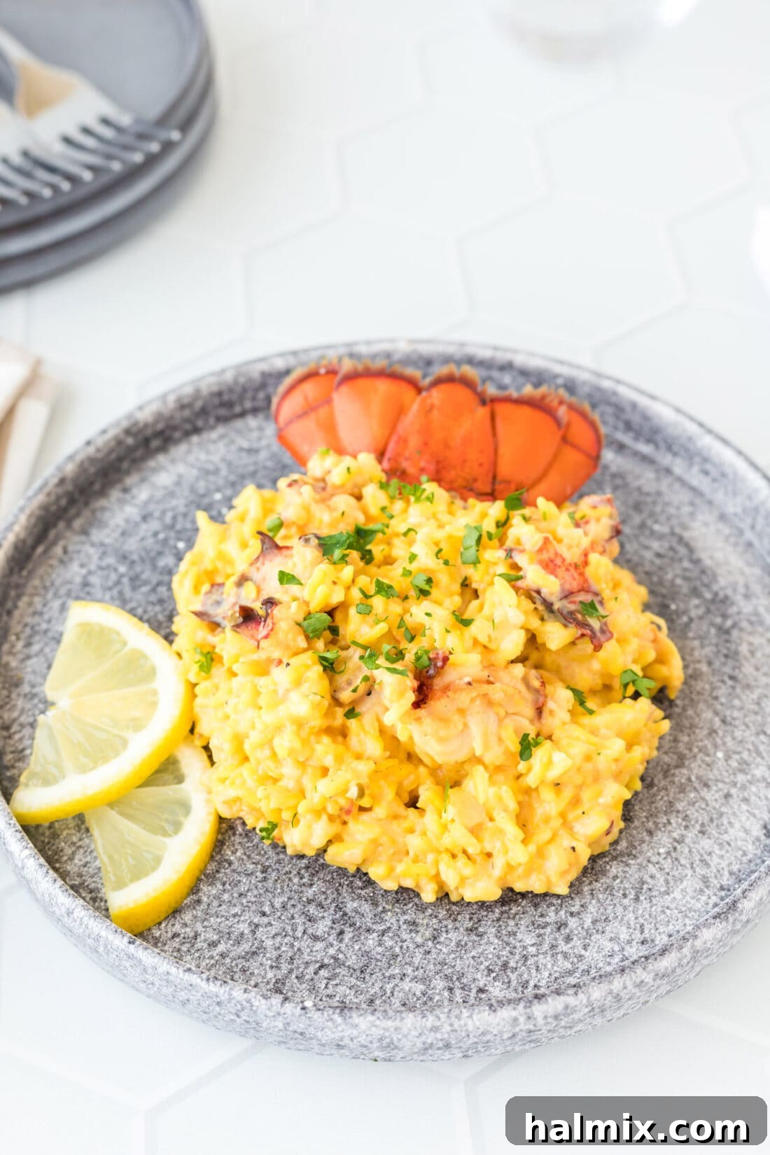 plate of Lobster Risotto