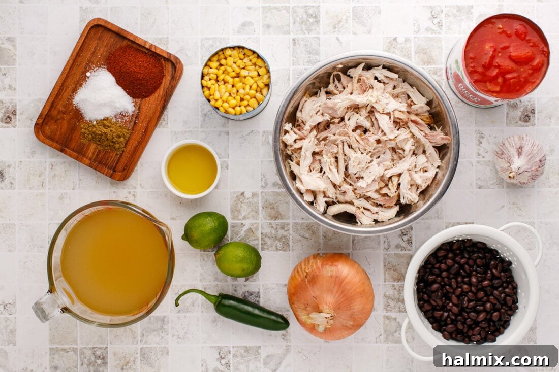 Fresh ingredients laid out for making Chicken Tortilla Soup