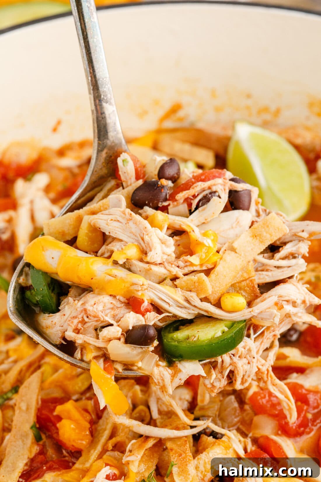 Ladle full of Chicken Tortilla Soup ready to serve