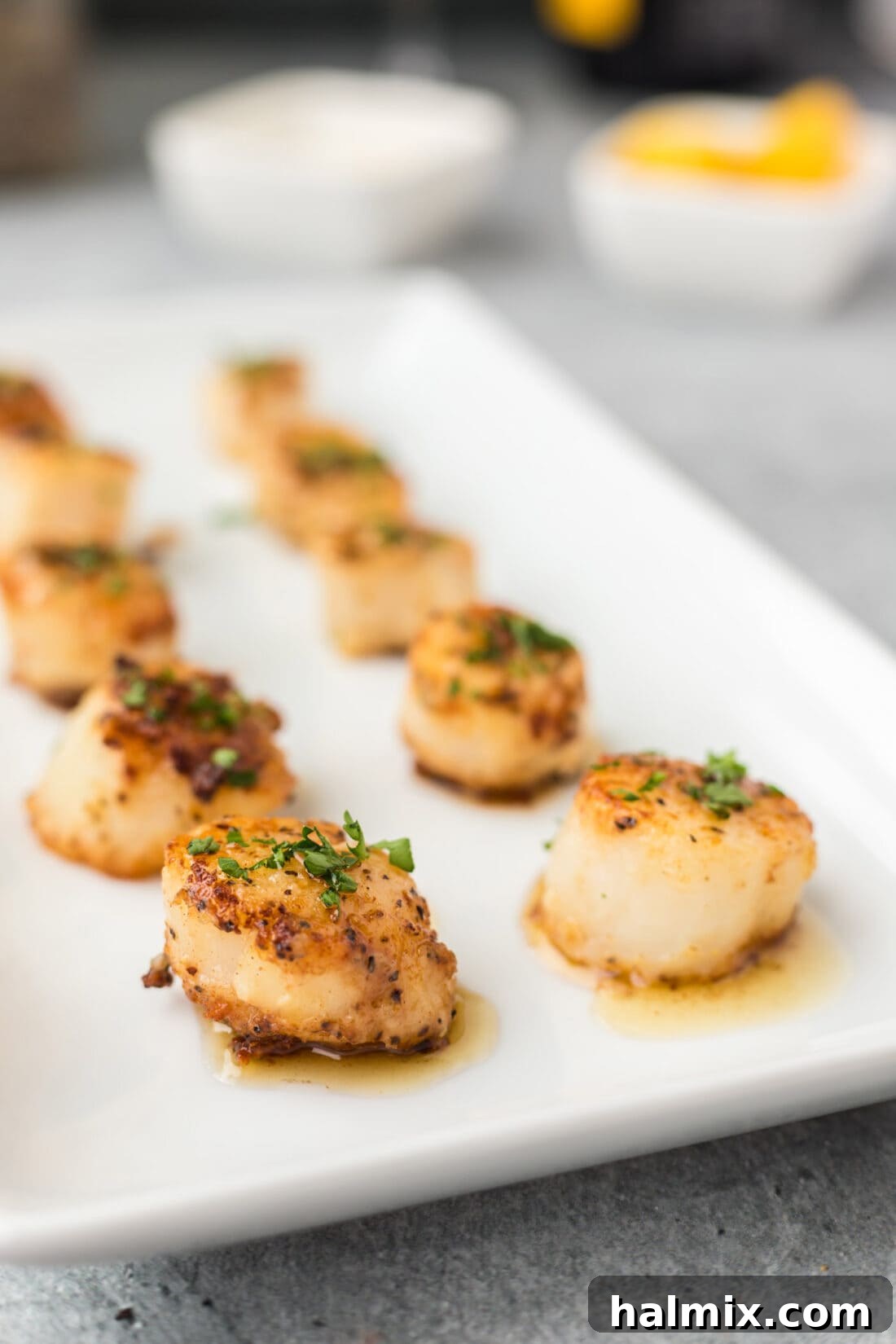 A platter of beautifully pan-seared scallops garnished with parsley