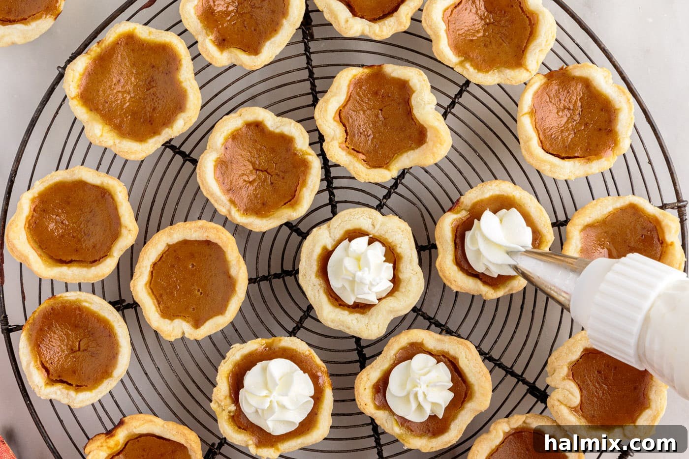 Petite Pumpkin Delights 16 piping whipped cream on top of mini pumpkin pies