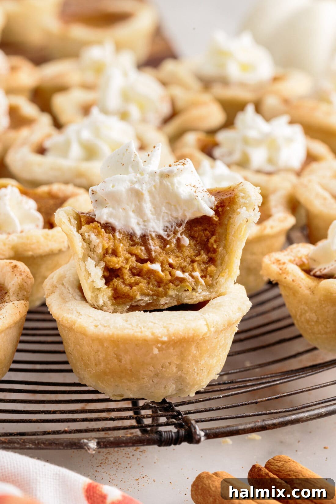 Petite Pumpkin Delights 17 Mini Pumpkin Pies stacked