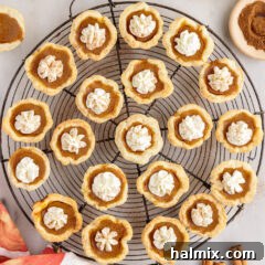 Mini Pumpkin Pies on a wire rack