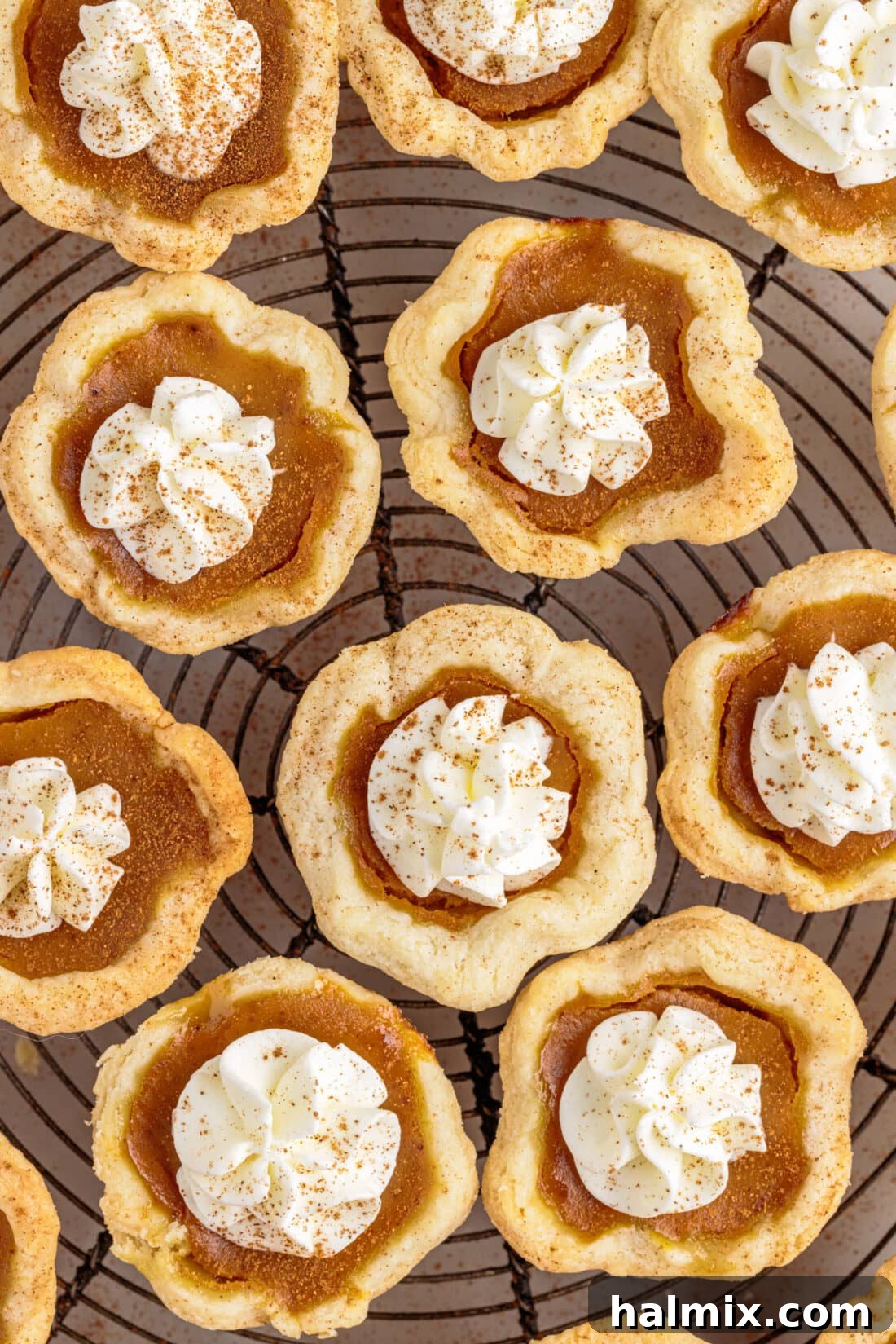 Petite Pumpkin Delights 3 Mini Pumpkin Pies on rack