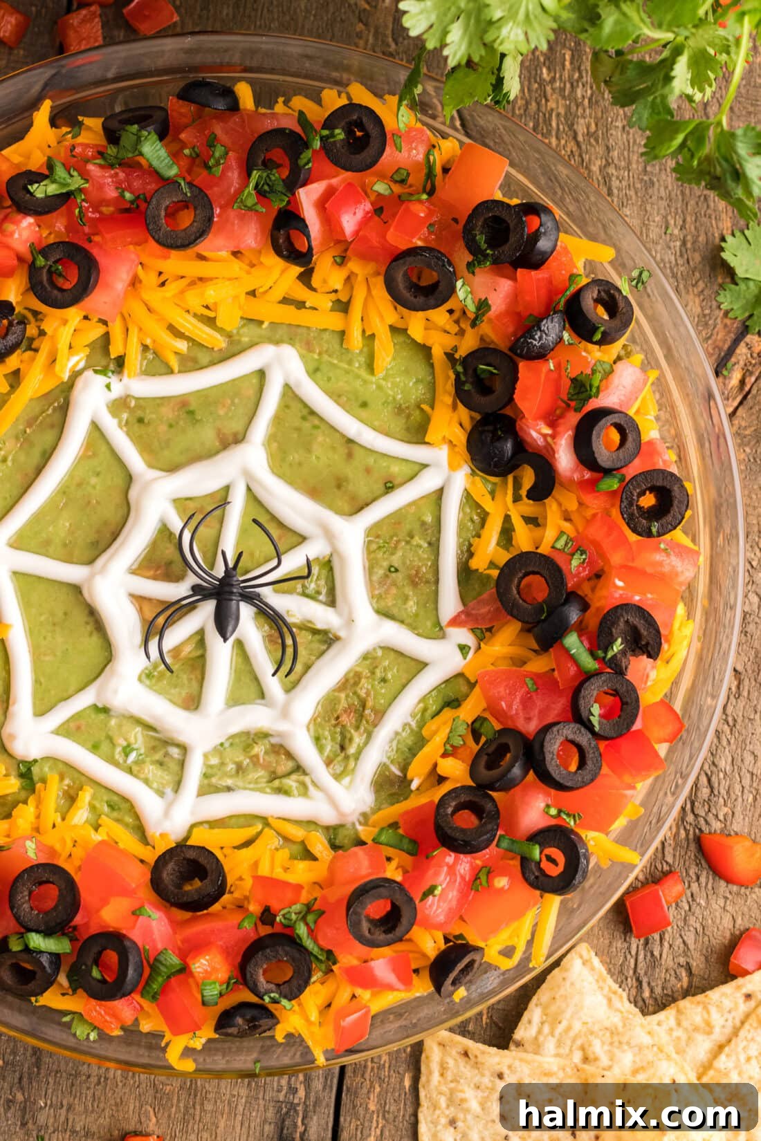 A deliciously spooky Spider Web Taco Dip featuring a decorative plastic spider in the center, garnished with fresh herbs and surrounded by crunchy tortilla chips.
