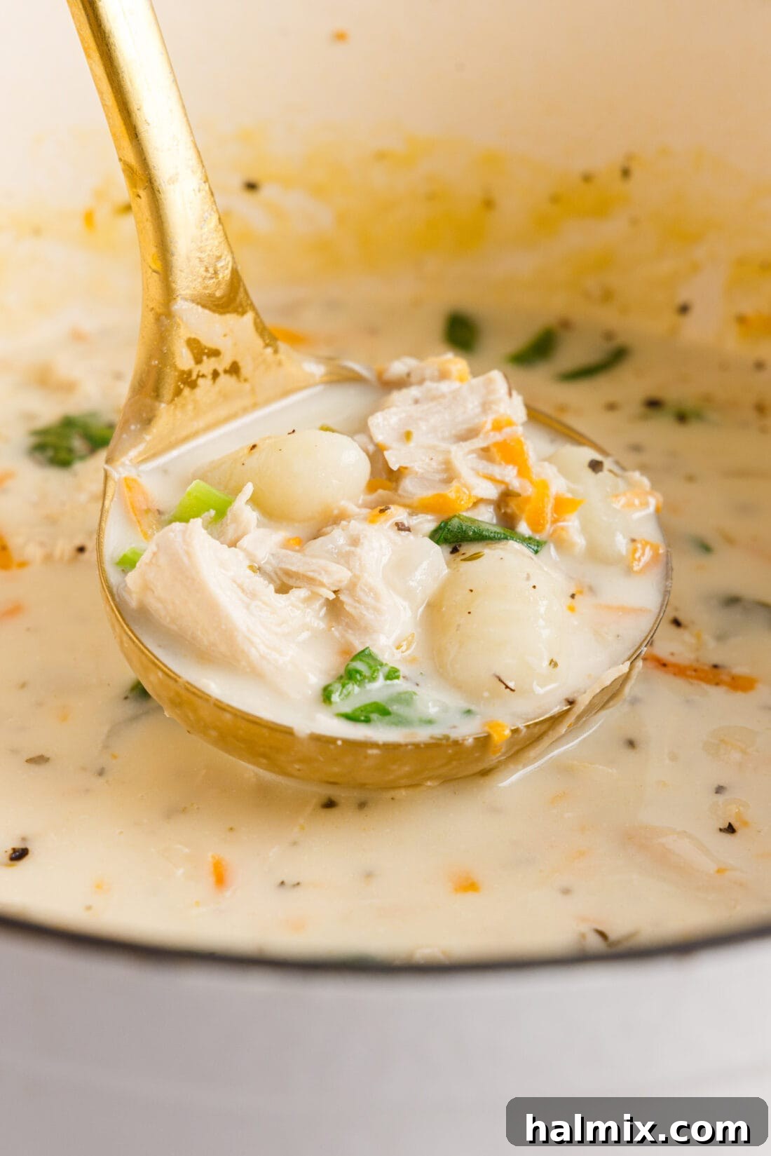 A ladle serving a rich, creamy chicken gnocchi soup from a pot, showcasing hearty gnocchi, spinach, carrots, and tender chicken pieces.