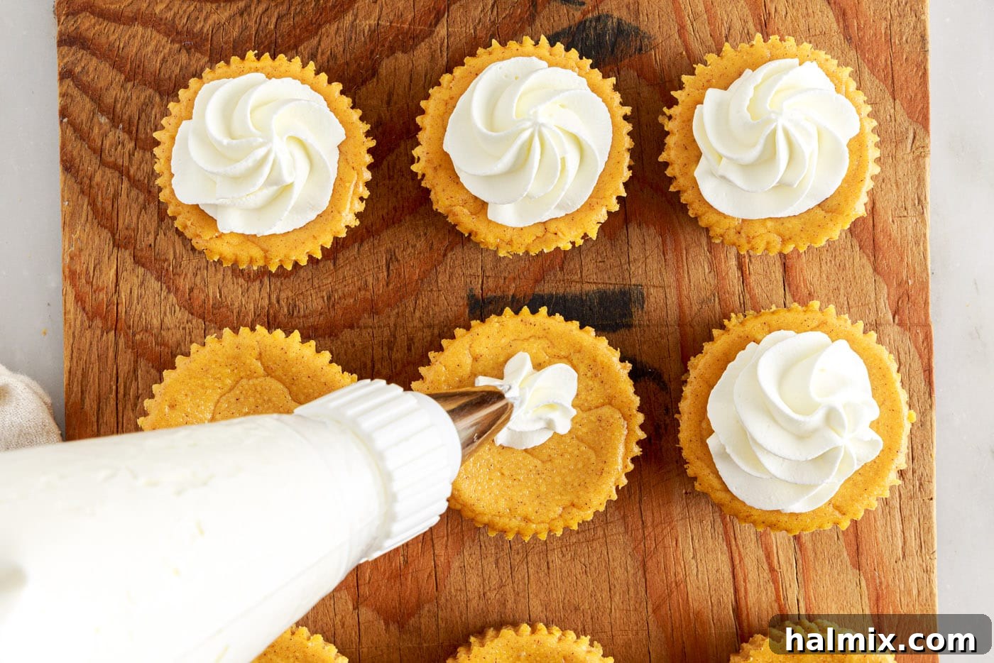 Spiced Pumpkin Cheesecake Minis 13 Piping fresh whipped cream onto individual mini pumpkin cheesecakes.