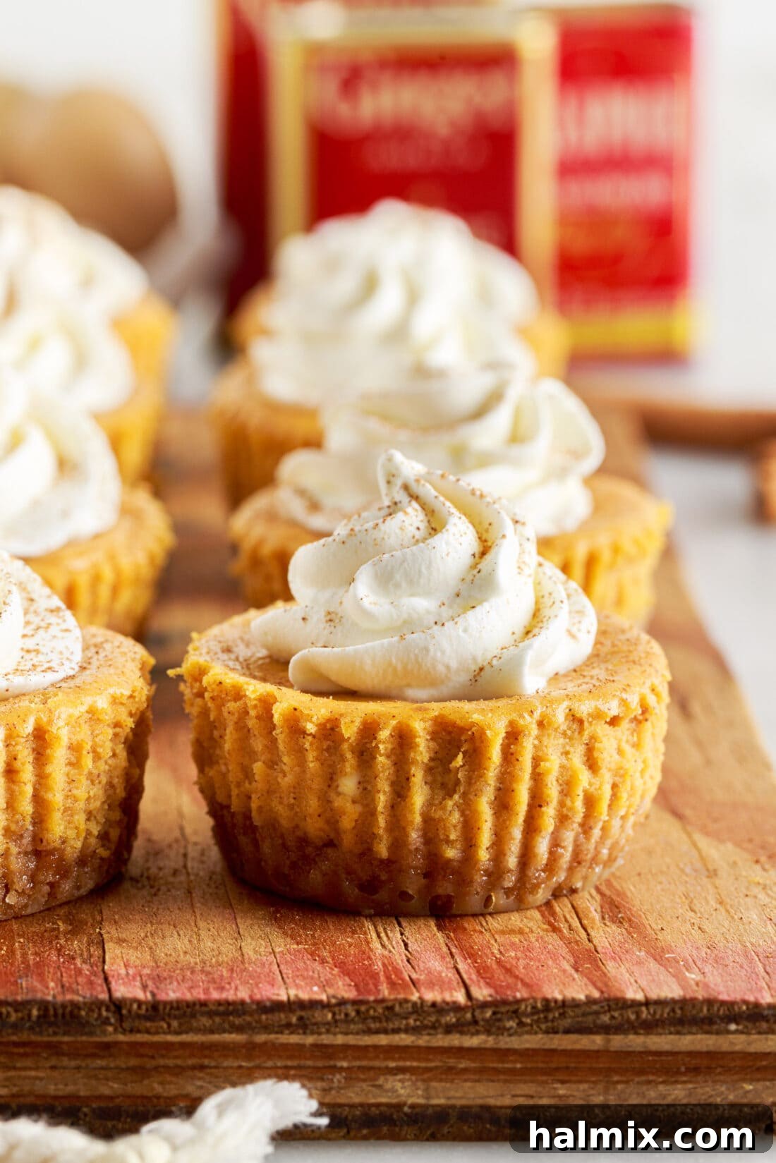 Spiced Pumpkin Cheesecake Minis 3 Close-up of Mini Pumpkin Cheesecakes topped with a swirl of whipped cream and a sprinkle of spice.