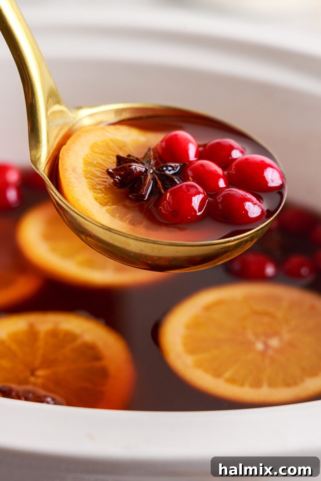 Warm Cranberry Elixir 3 Ladle full of Hot Cranberry Punch, showing spices and fruit