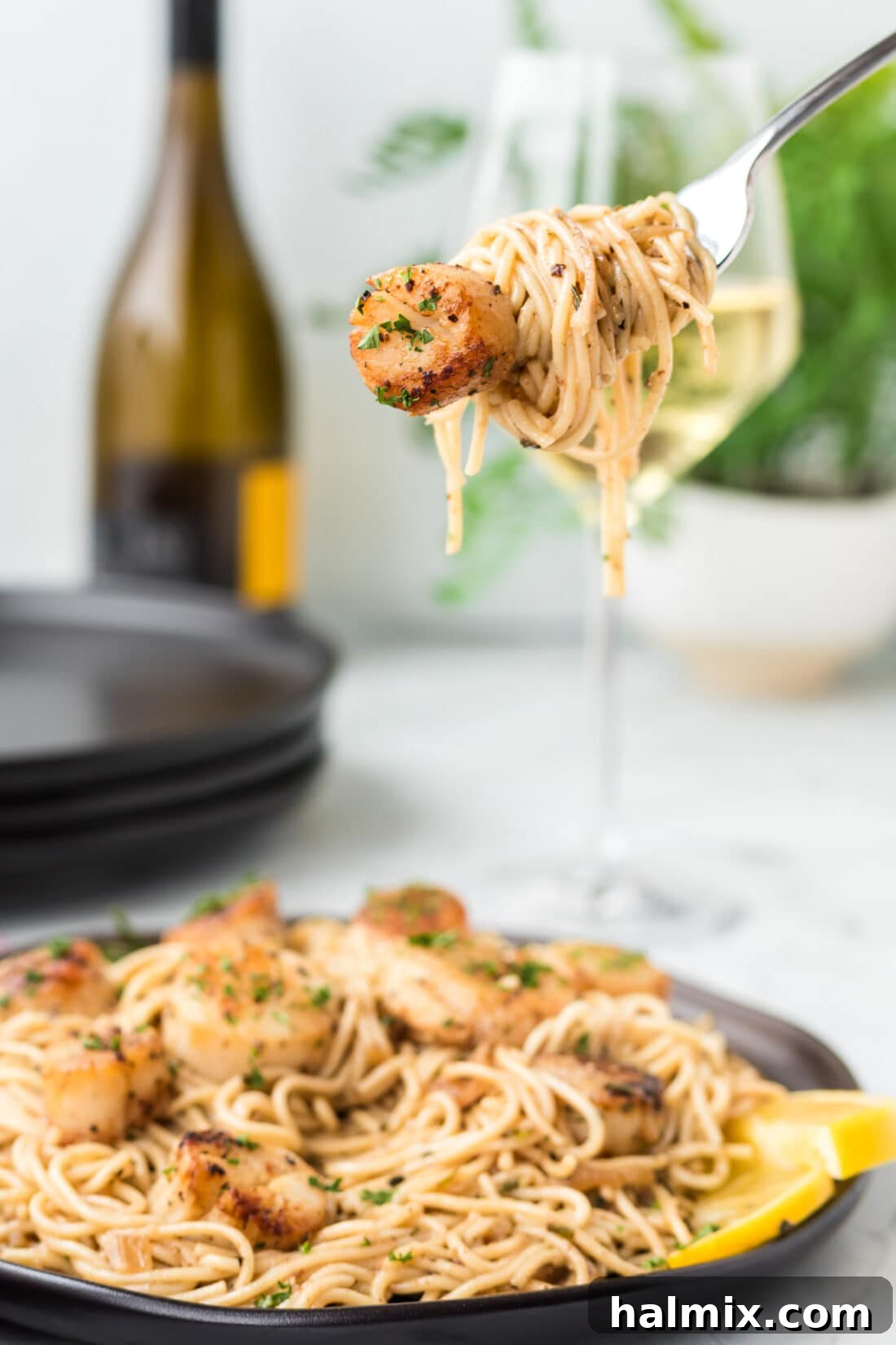 A fork lifting a delicious portion of Scallop Pasta from a black plate