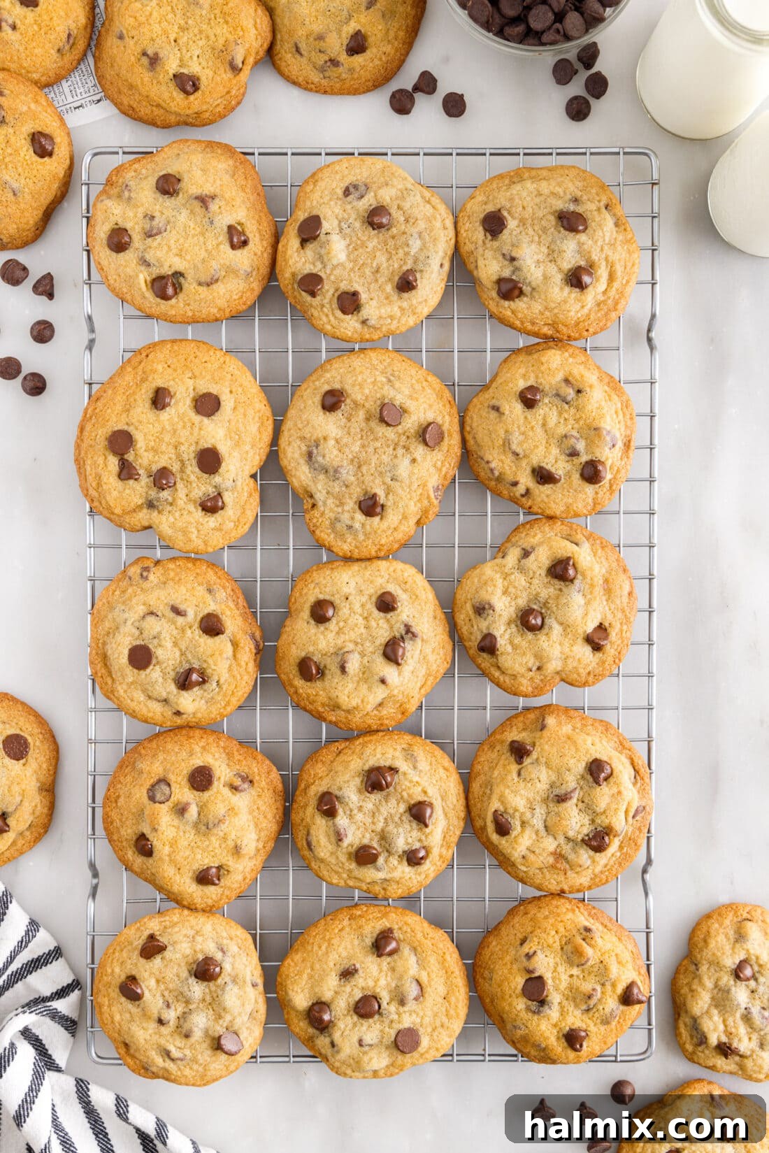 wire rack of freshly baked Toll House Cookies