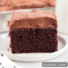 slice of chocolate Mayonnaise Cake