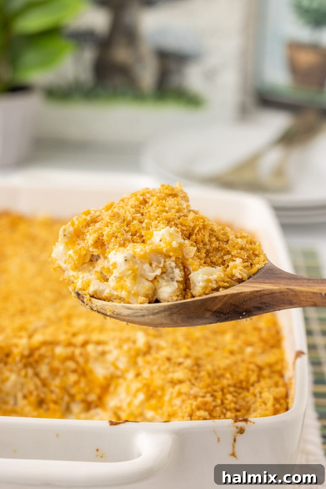 Comfort Potato Bake 2 spoon of Funeral Potatoes
