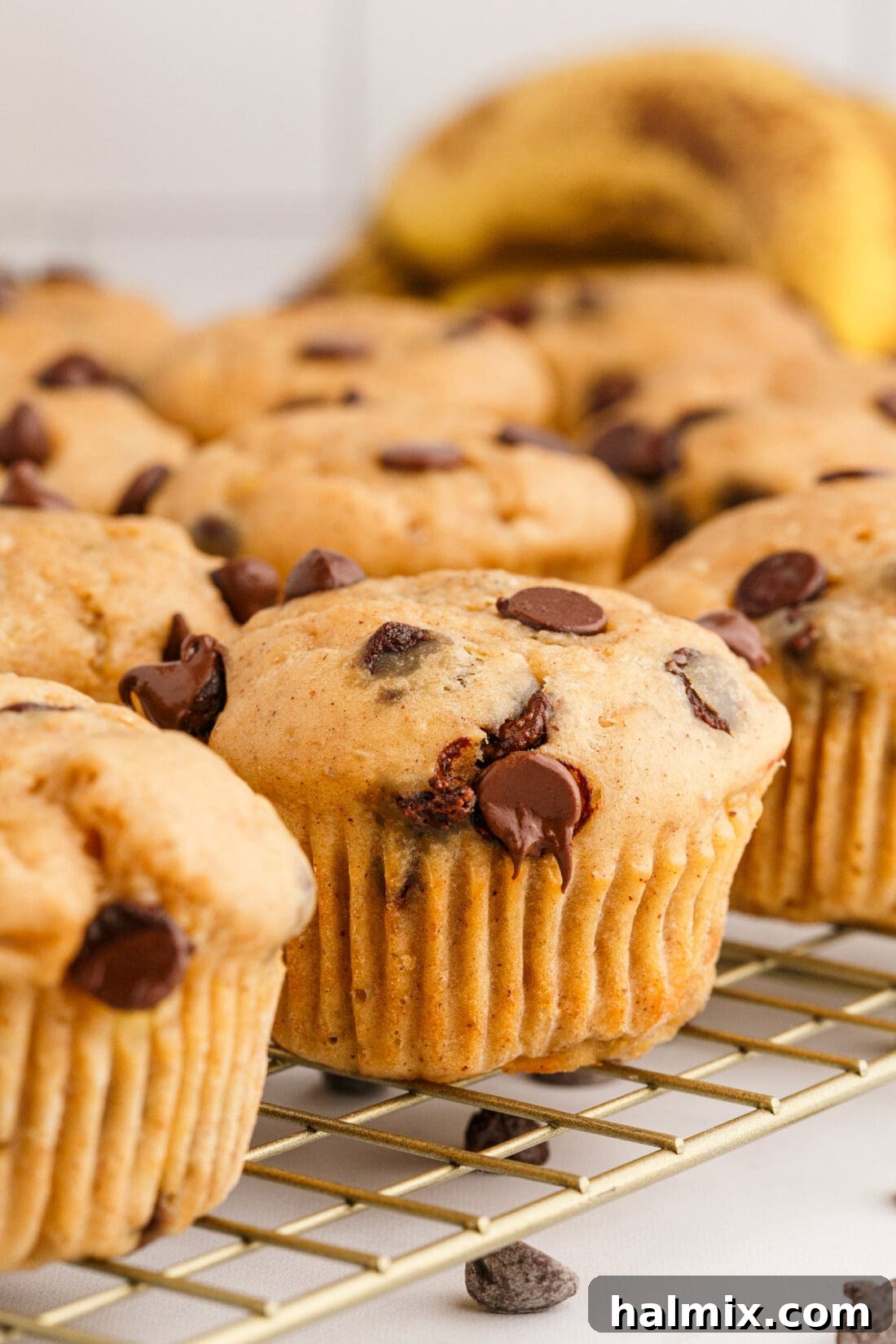 Chocolate Chip Banana Muffins on a wire rack