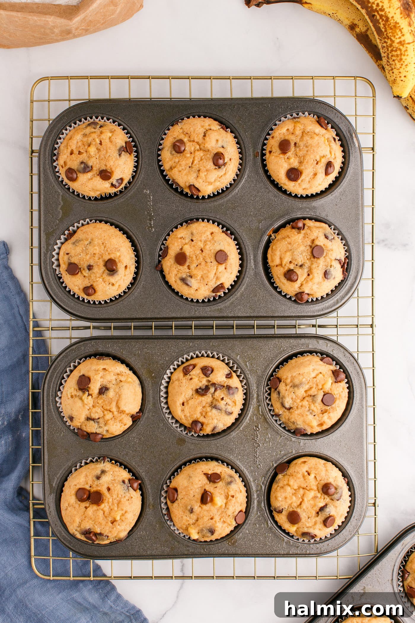 Baked Chocolate Chip Banana Muffins