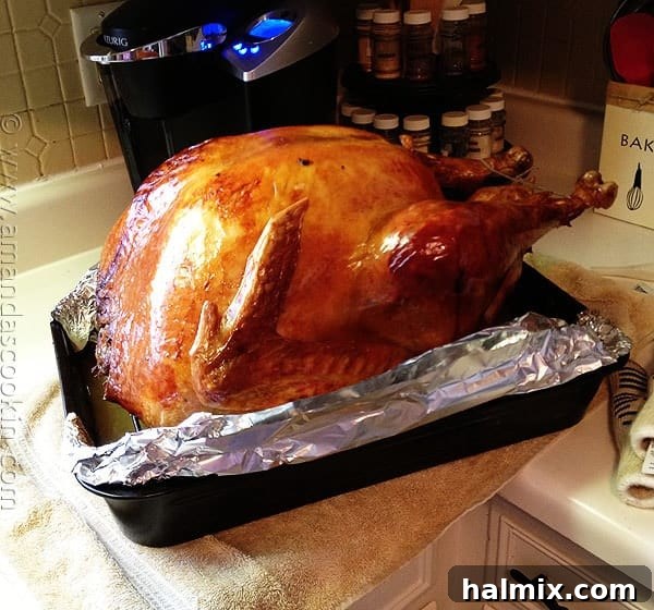 Brining a Turkey - even a 32 pounder! AmandasCookin.com Brining a Turkey - even a 32 pounder! AmandasCookin.com