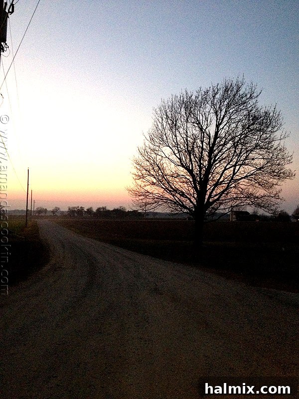 Brining a Turkey Brining a Turkey