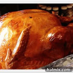 A close up photo of a cooked turkey.