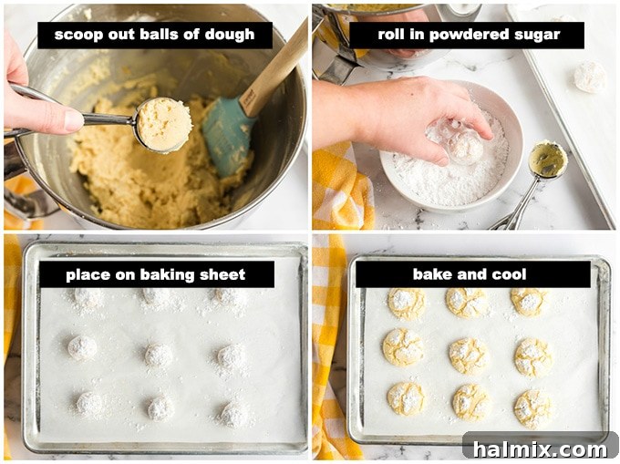 Sun-Kissed Orange Crinkles 3 Hands rolling a ball of orange crinkle cookie dough in a bowl of powdered sugar, demonstrating a key step for creating the crinkle effect.