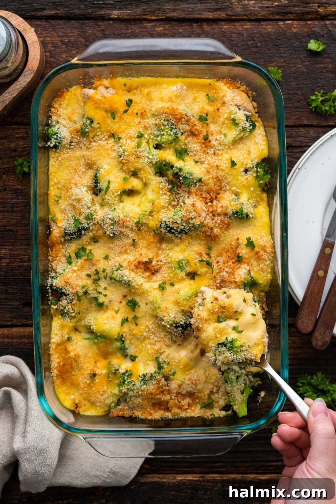 A golden brown pan of Chicken Divan Casserole, freshly baked and bubbly.