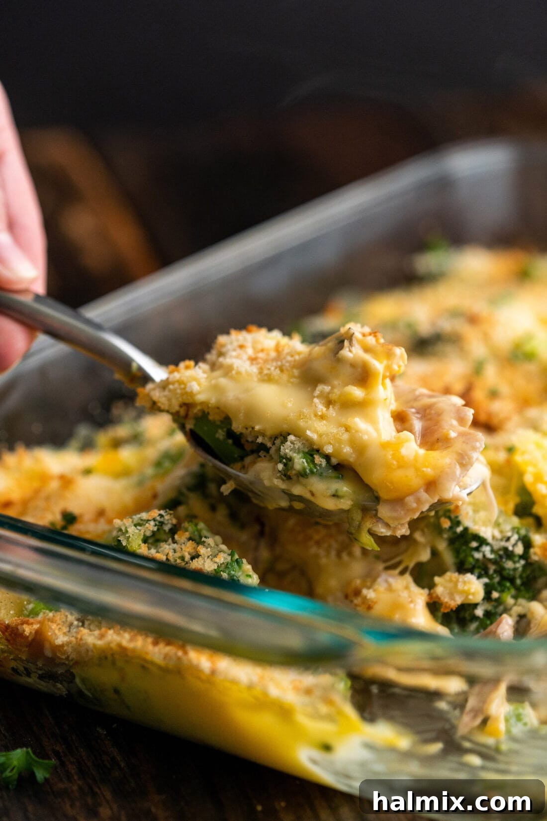 A serving spoon lifting a generous portion of Chicken Divan Casserole from the pan, showing the creamy chicken and broccoli.