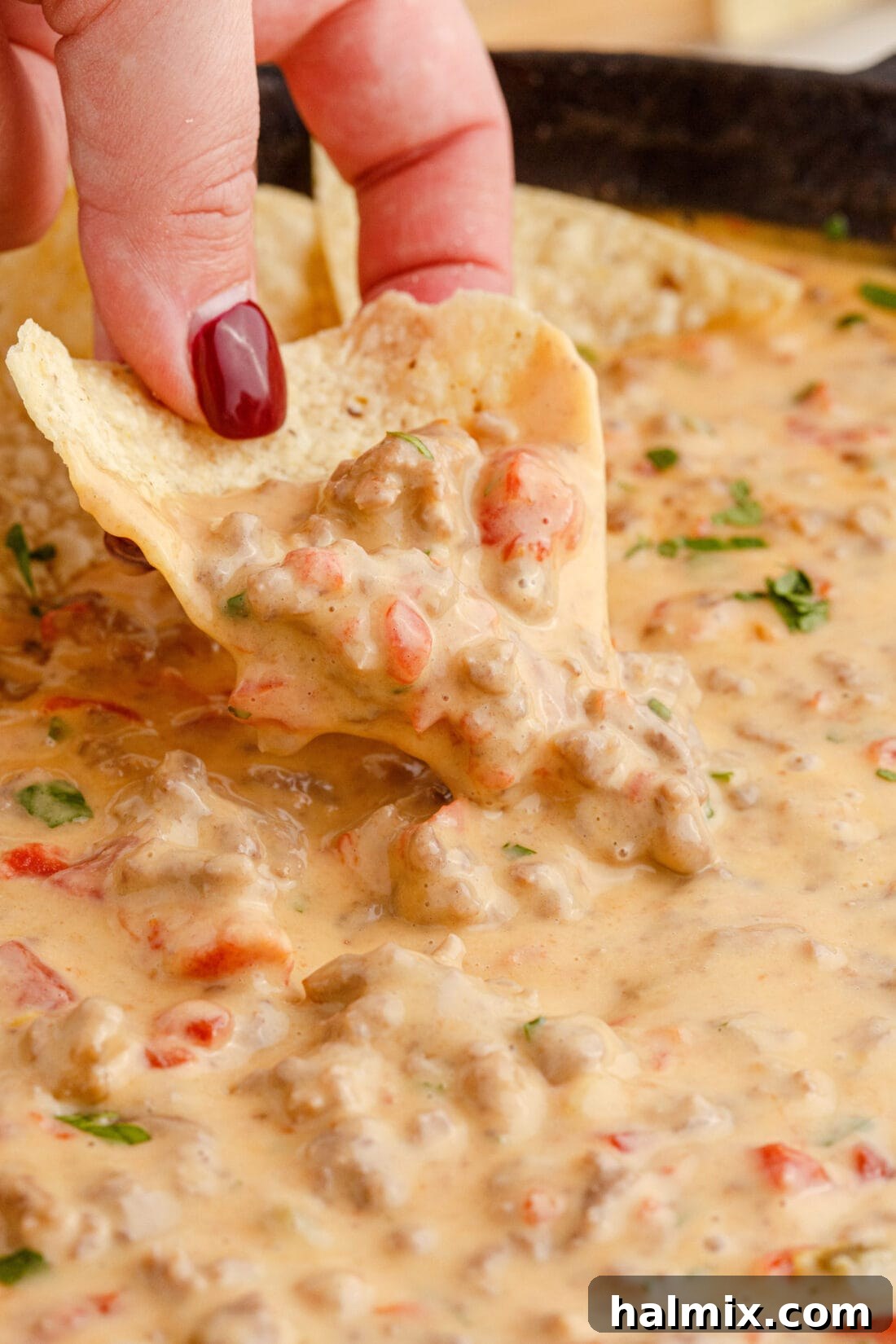 dipping chip into Rotel Dip