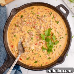 Rotel Dip in a skillet
