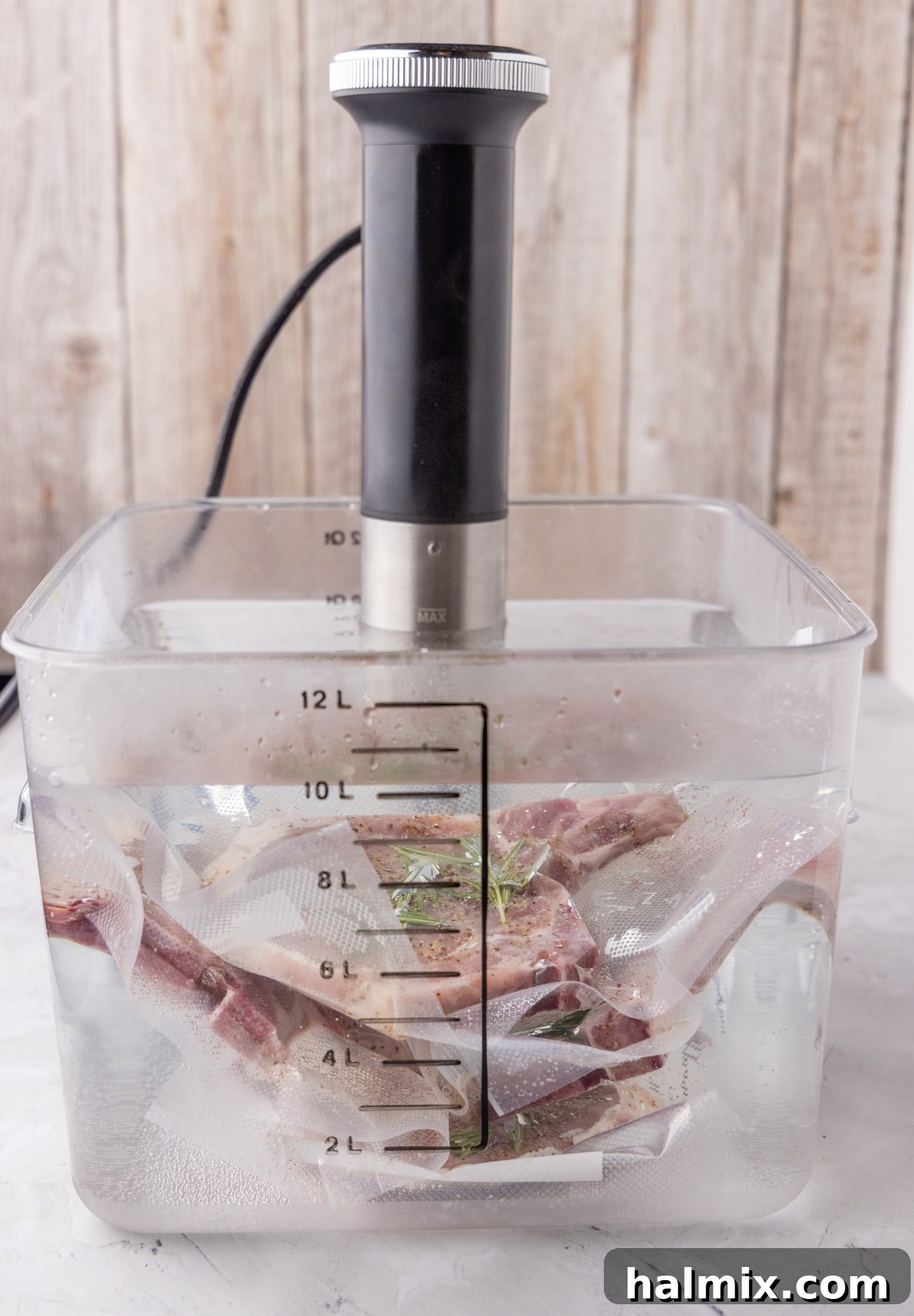 Vacuum-sealed pork chops submerged and cooking in a sous vide water container.
