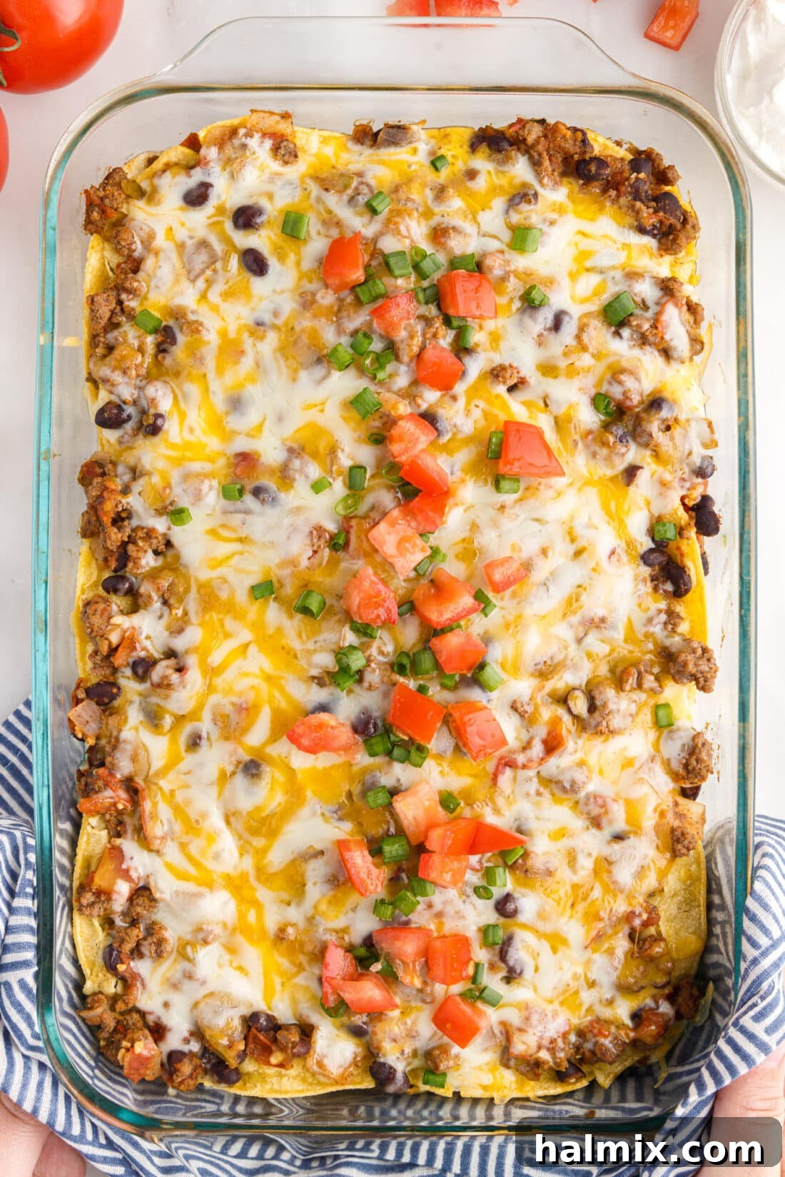 Pan of Mexican Lasagna, golden and bubbly, fresh from the oven, garnished with cilantro