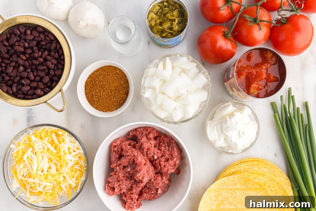 A vibrant collection of fresh ingredients laid out for making Mexican Lasagna, including ground beef, corn tortillas, various cheeses, and colorful vegetables