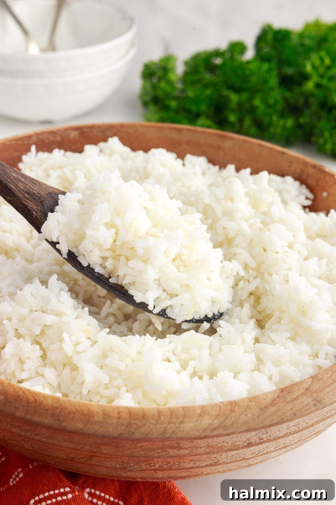 Spoonful of perfectly cooked white rice
