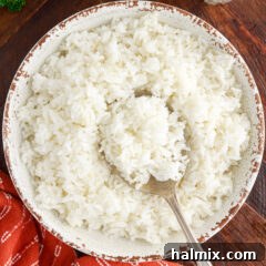 Overhead photo of a bowl of rice with a spoon