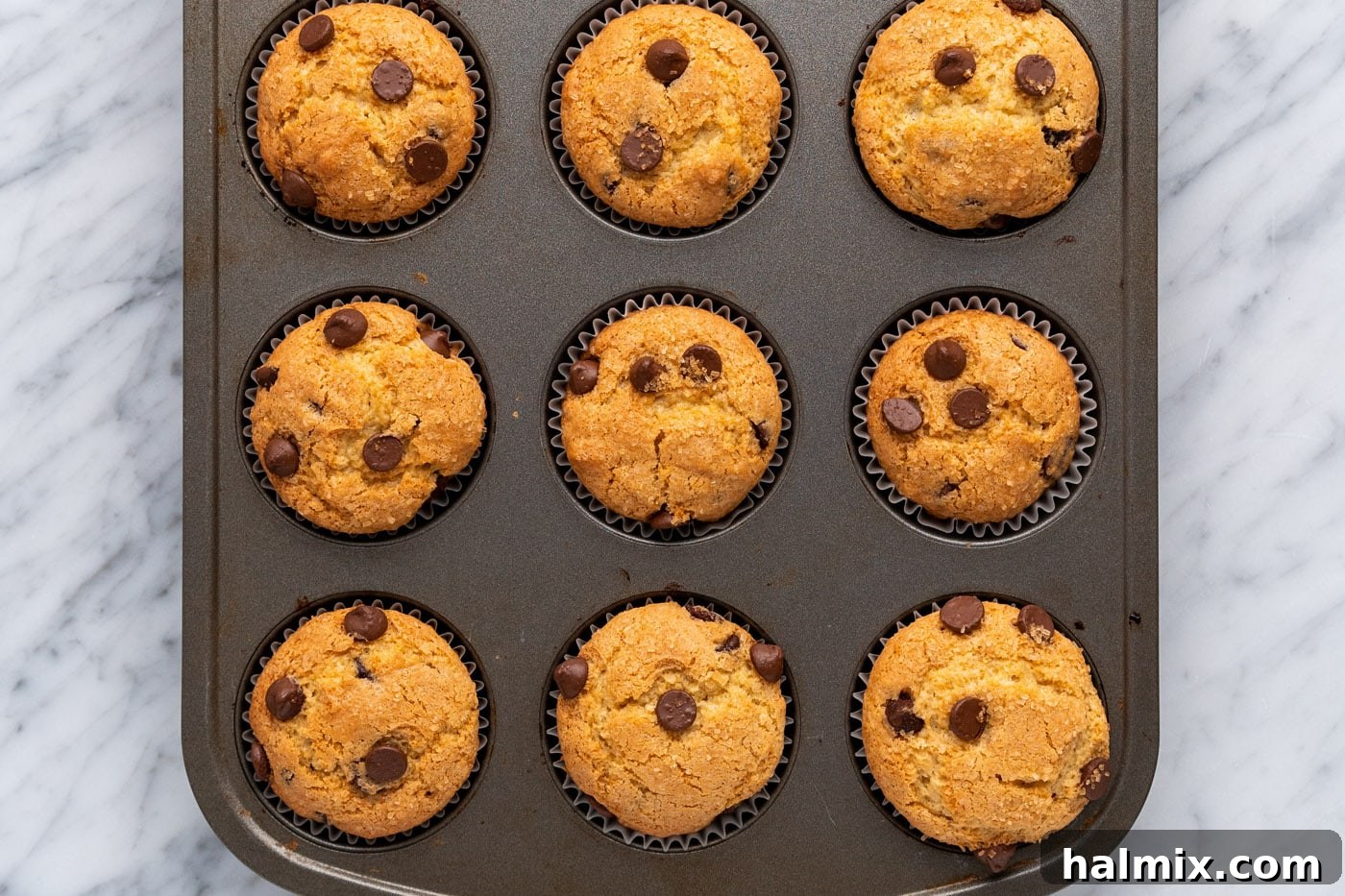 Baked chocolate chip muffins in a pan, golden and perfectly risen