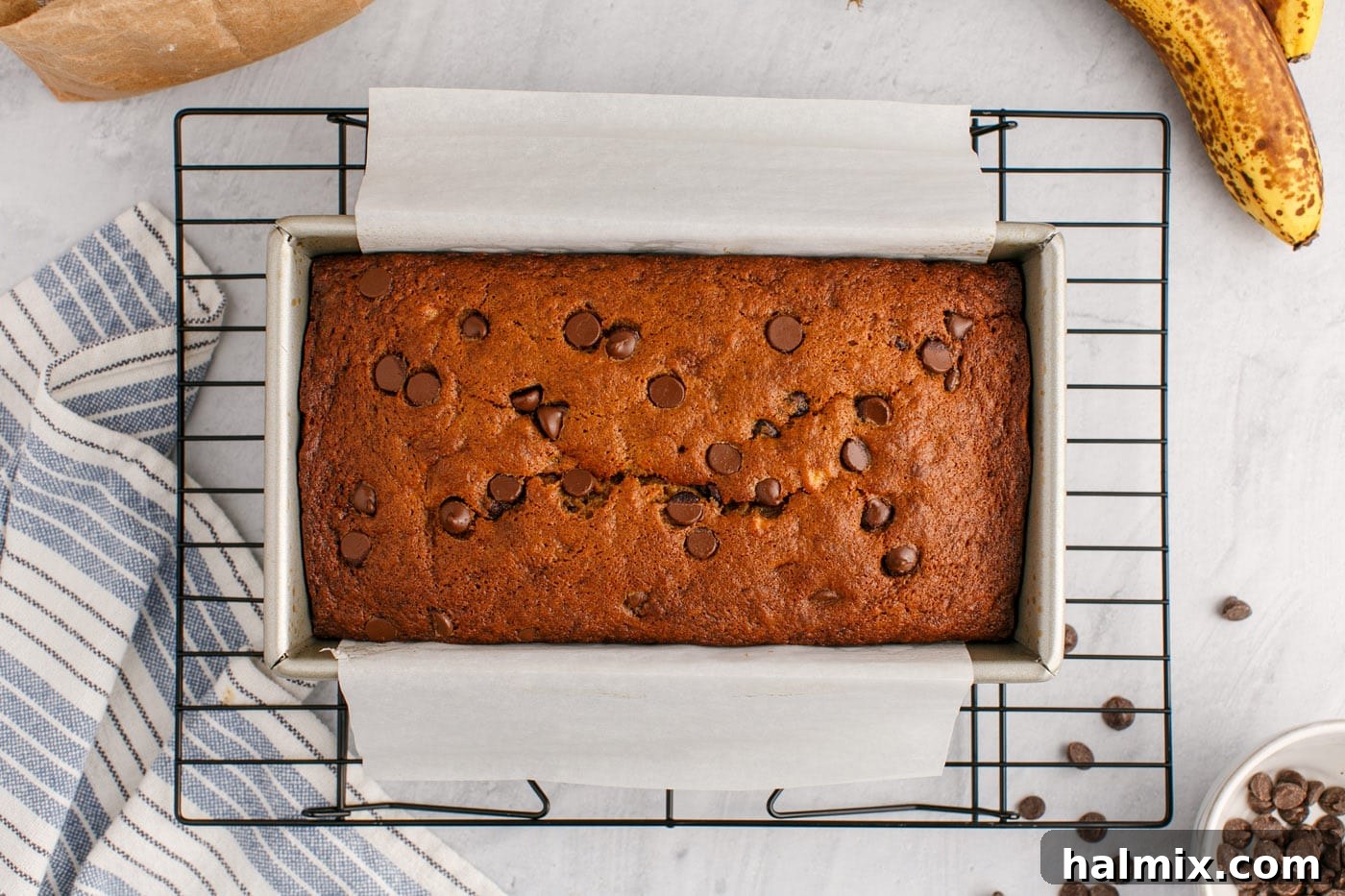 Ultimate Chocolate Chip Banana Bread 14 A freshly baked loaf of chocolate chip banana bread, golden and fragrant, resting on a wire cooling rack directly out of the oven.