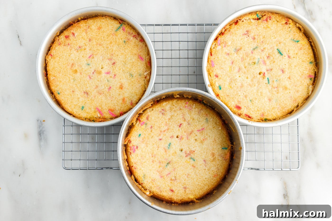 Festive Sprinkle Cake 13 baked funfetti cake layers