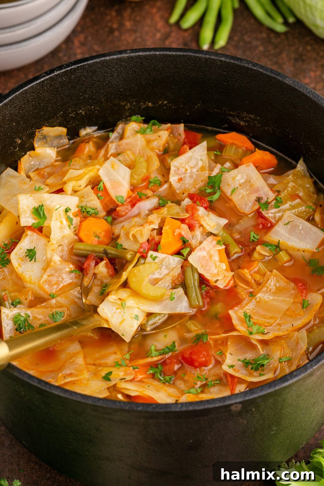 Spoon in a pot of Cabbage Soup