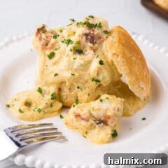 Plate of Lobster Newburg over an open biscuit