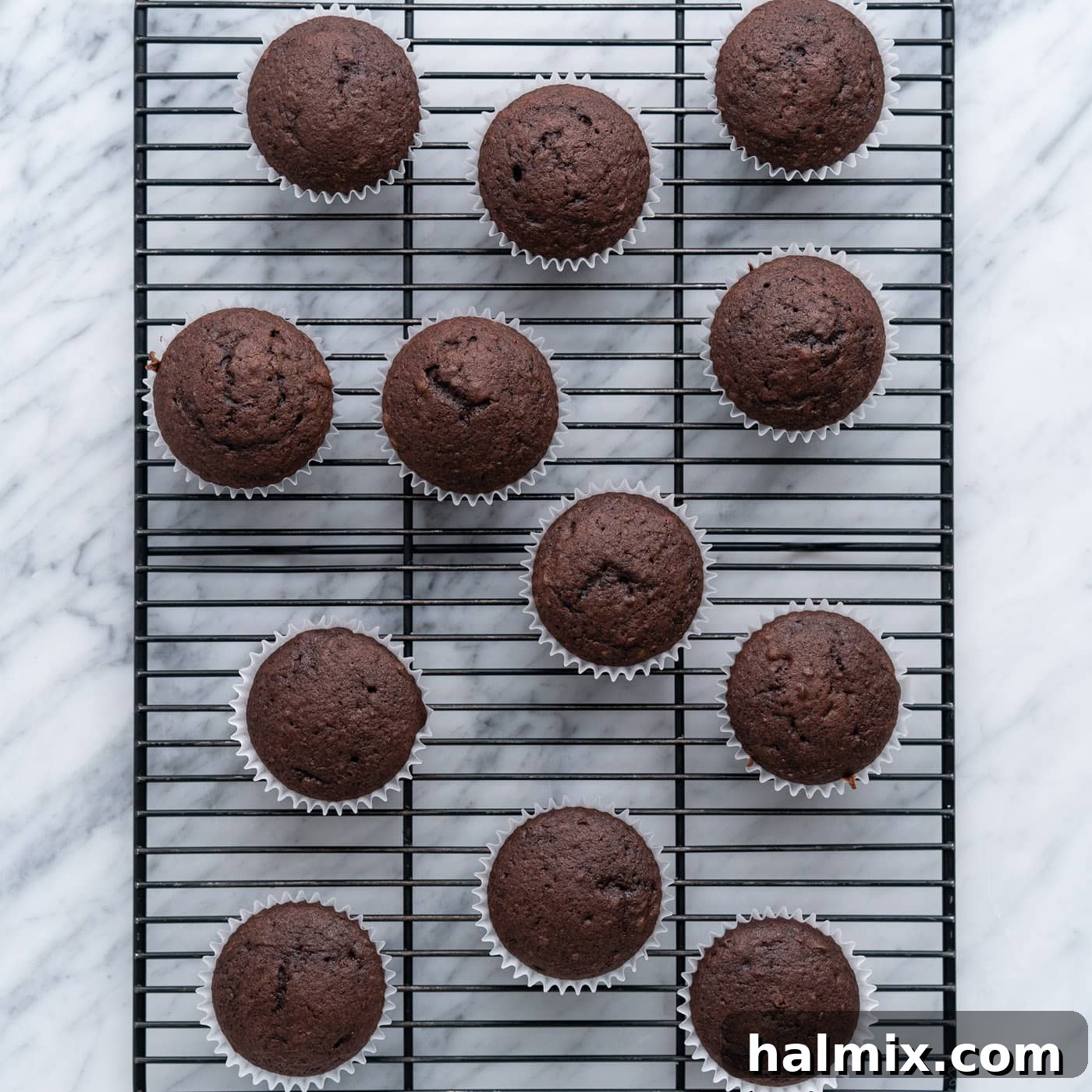 chocolate cupcakes cooling on a wire rack