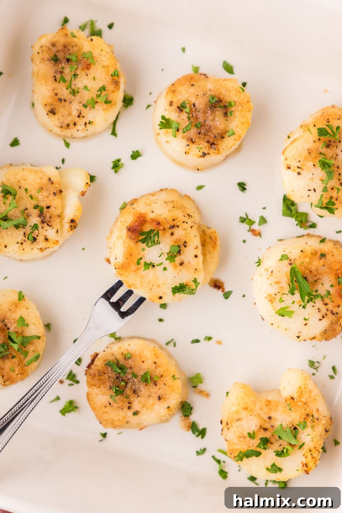 Lemon Garlic Baked Scallops 11 Close up of Baked Scallops arranged appealingly in a serving dish, ready for a seafood feast.