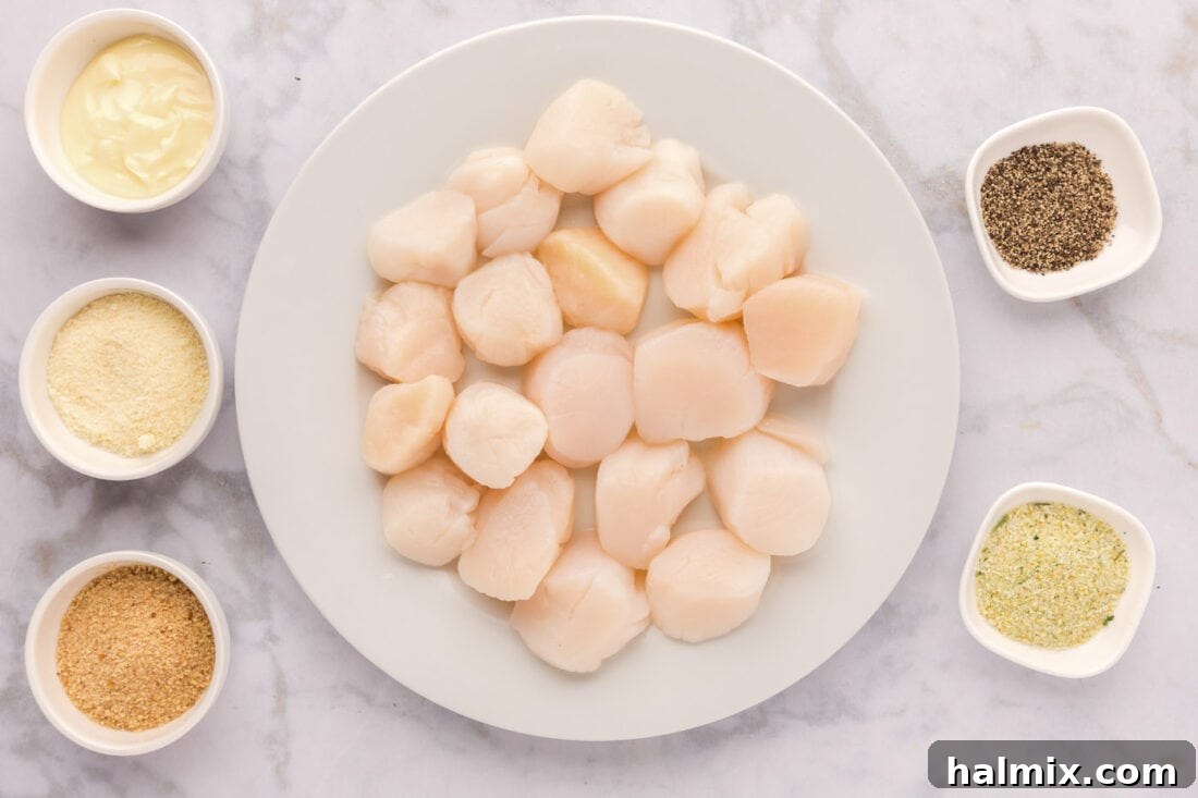 Lemon Garlic Baked Scallops 4 An array of fresh ingredients for baked scallops, including raw sea scallops, butter, parmesan cheese, and various seasonings.