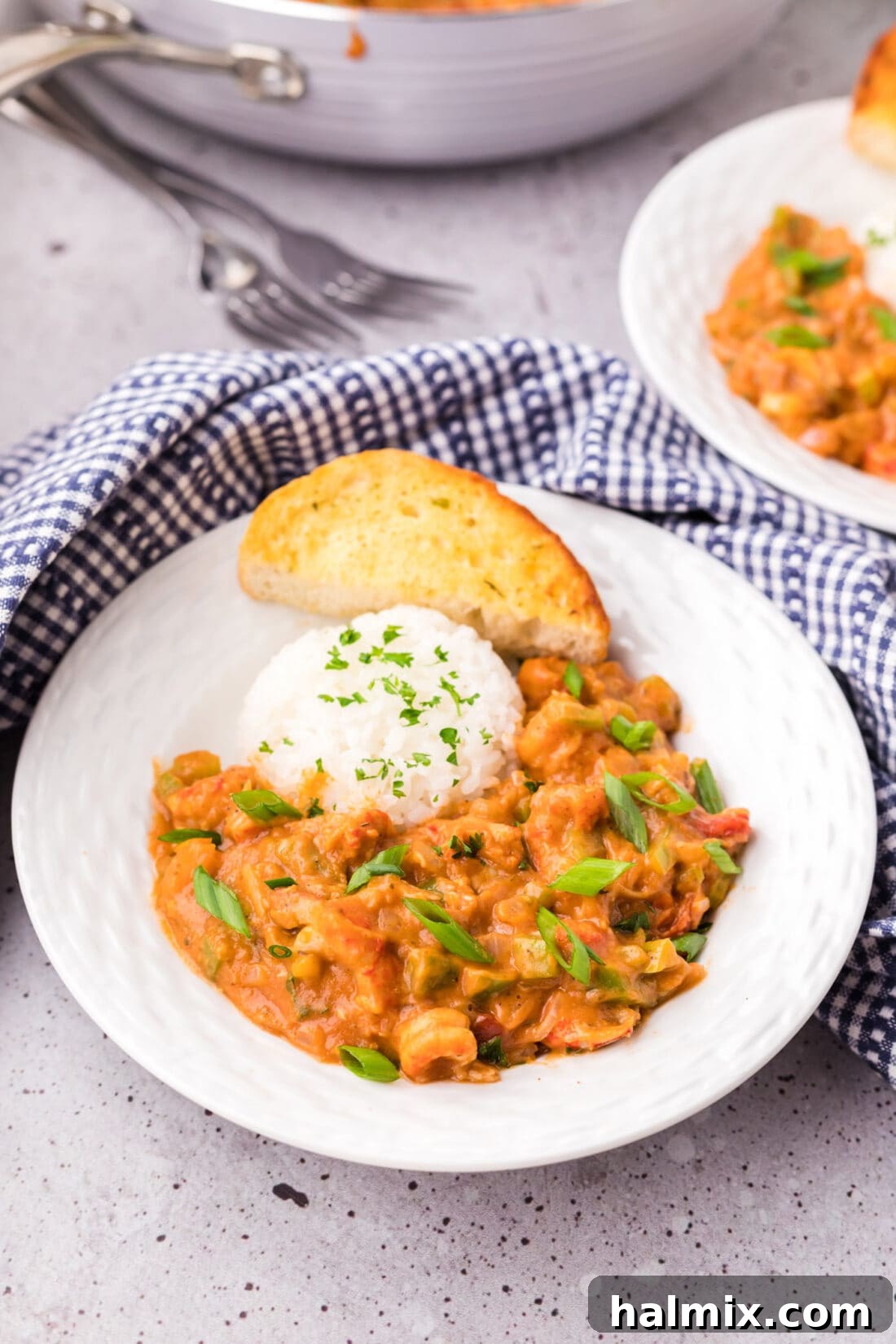 Bowl of Crawfish Etoufee served with rice and a piece of crusty bread, garnished with green onions