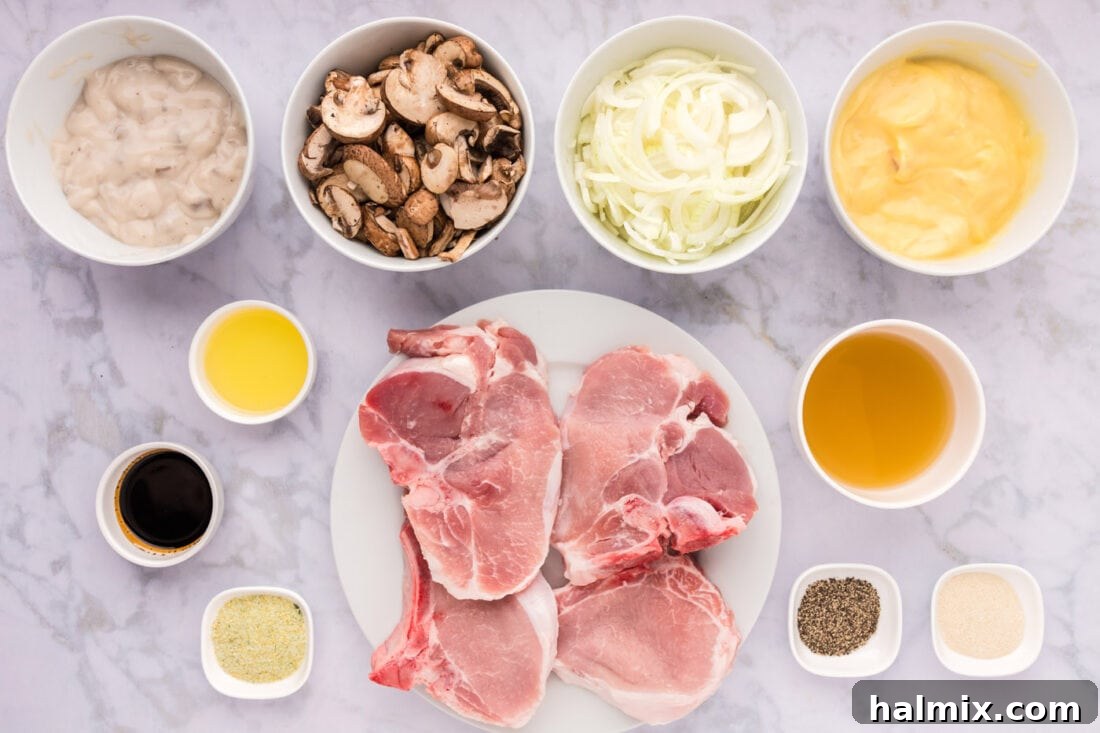 Ingredients for Crockpot Pork Chops