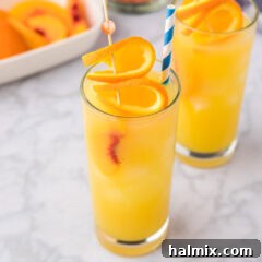 Velvet Peach Sunset 12 Fuzzy Navel with a straw and orange slices garnished on top